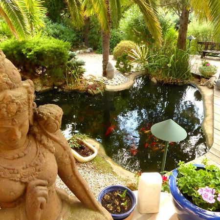 Bed and Breakfast Babou Mandelieu Exterior foto